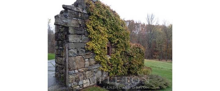 Landscape Image 2