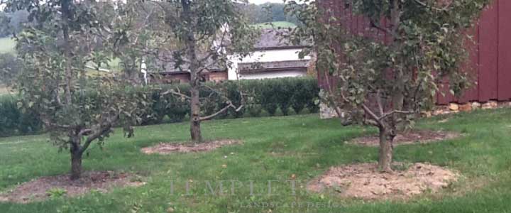 Landscape Image 2