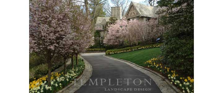 Landscape Image 4