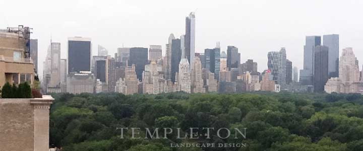 Landscape Image 1