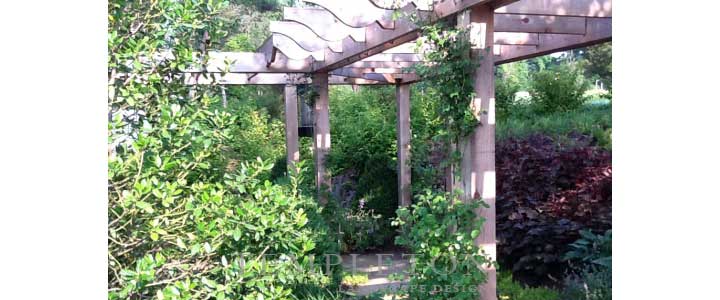 Landscape Image 4