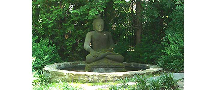Landscape Image 1