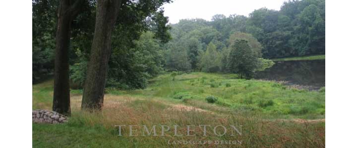 Landscape Image 3