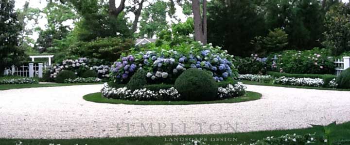 Landscape Image 1