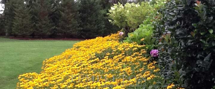 Landscape Image 3